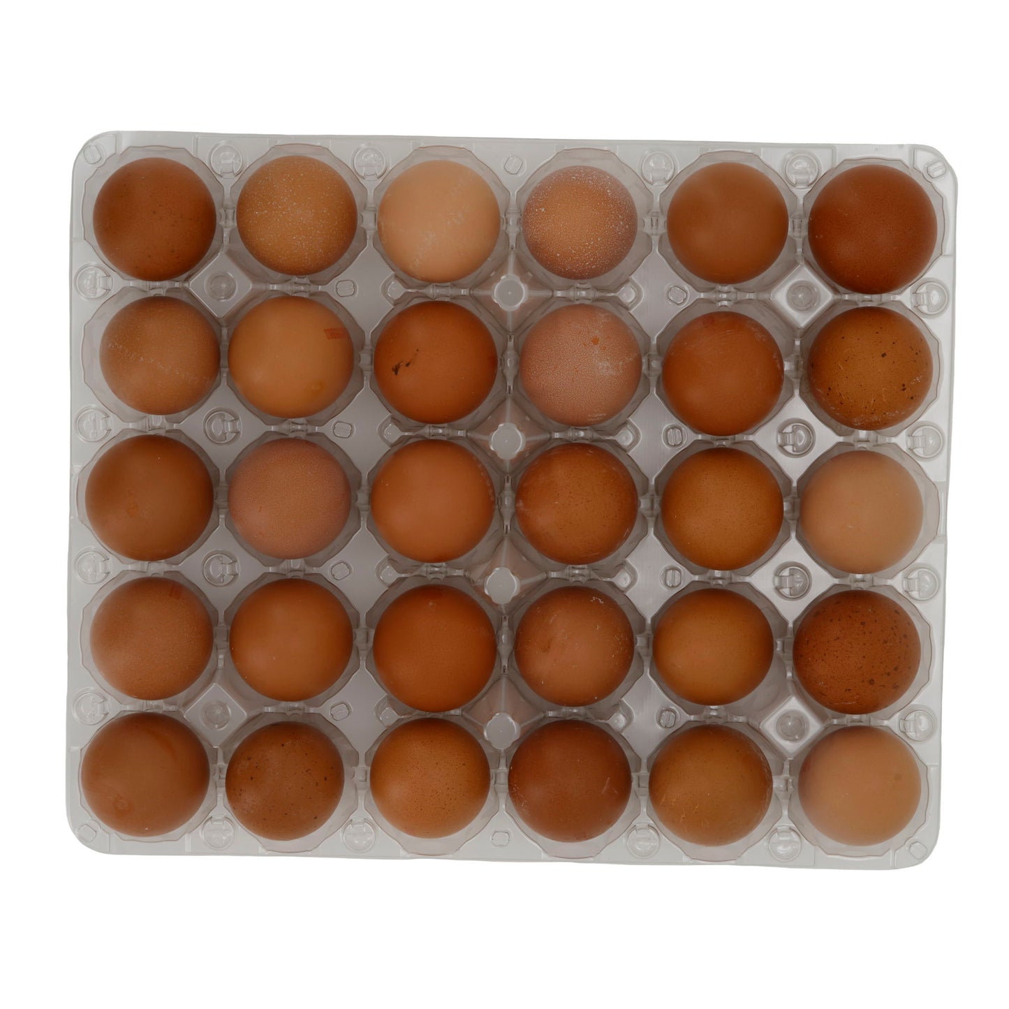 Frische Eier Nestland | Güteklasse A | Aus Bodenhaltung | 30 Stück