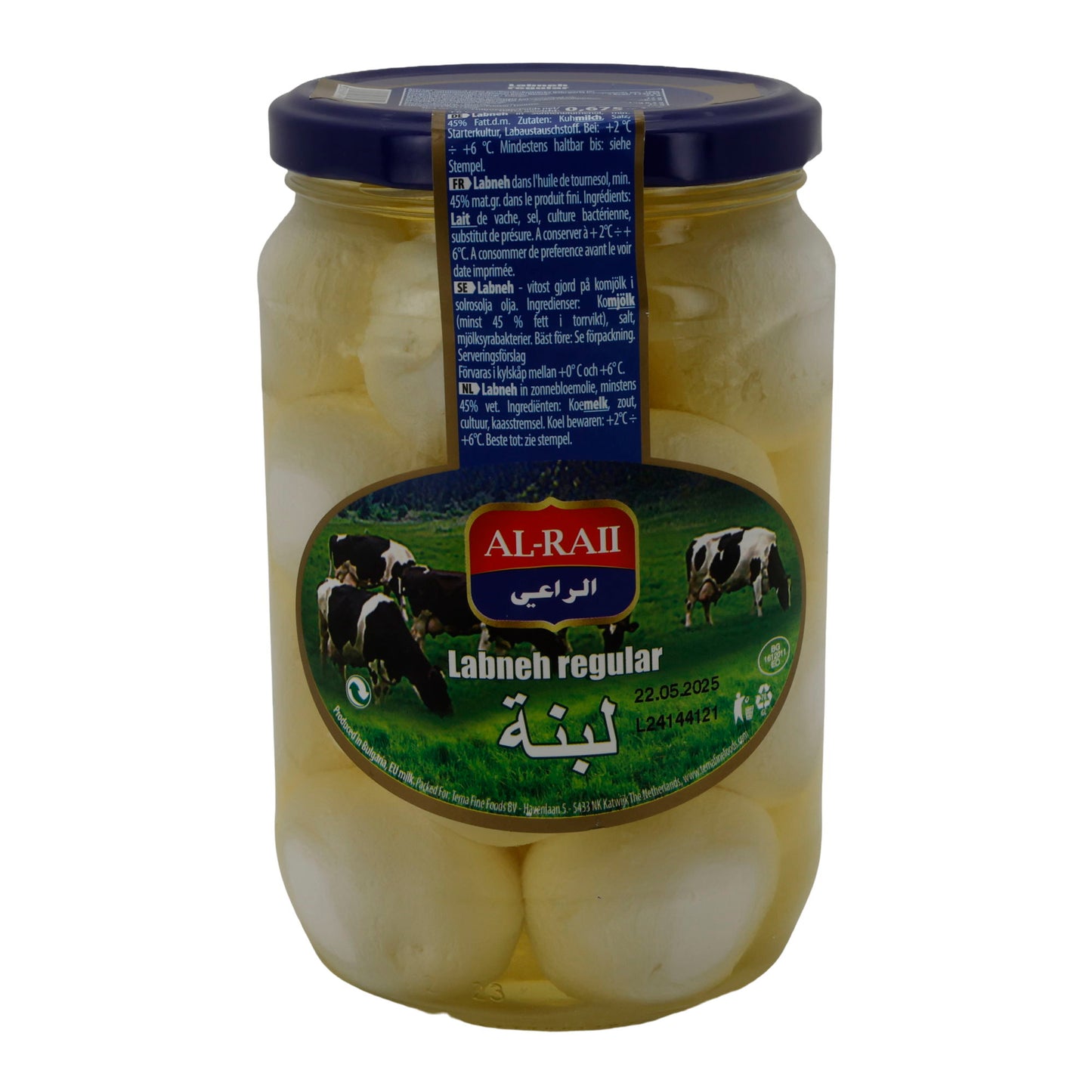 Frischkäsebällchen Al-Raii Labneh Regular | Frischkäsebällchen | Geleneksel doğu usulü Frischkäsebällchen | 675 g Kavanoz