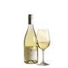 vino bianco