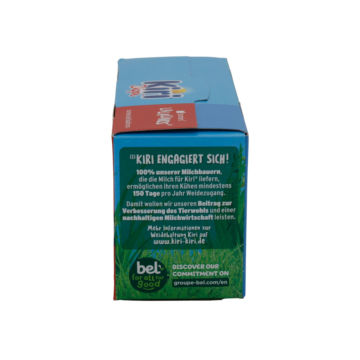 KIRI DIPPI AVEC GRISSINI FROMAGE À TARTINER 3X35 GR