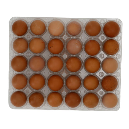 Frische Eier Nestland | Güteklasse A | Aus Bodenhaltung | 30 Stück