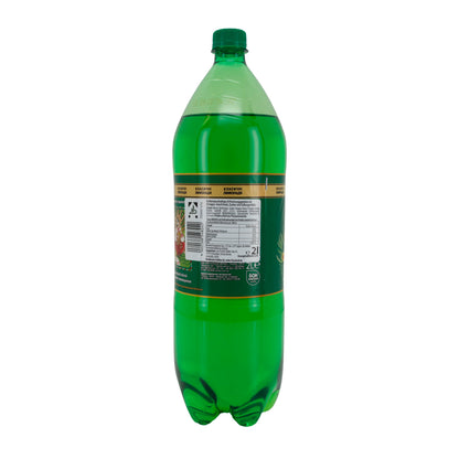 Bevanda rinfrescante UA Bon Buasson | Bevanda rinfrescante | Tarchun | 2 l