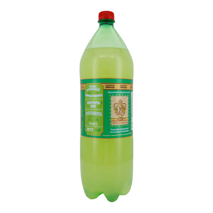 Verfrissend drankje Mojito Bon Boisson | Alcoholvrij | Met munt- en limoensmaak | 2 L