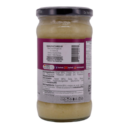 Ingwerpasta Shan | Praktisch | Voor authentieke gerechten | 310 g