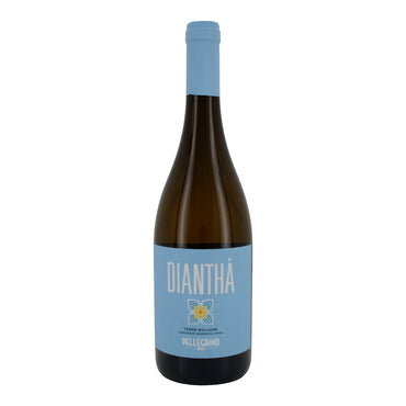 Weißwein Pellegrino Dianthà | Bianco | Jahrgang 2024 | 750 ml Diantha