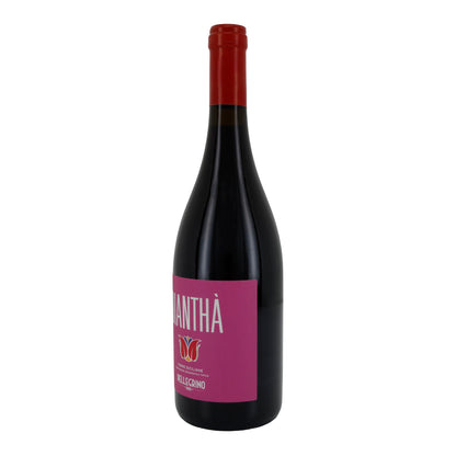 Wein Pellegrino Dianthà | Rosso | Terre Siciliane IGT Jahrgang 2022 | 750 ml