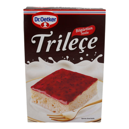 MILK CAKE WITH BLACKBERRY SAUCE