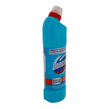 Bleichmittel Domestos Ultra Dichte Dickes | Bleichmittel | Eukalyptus Duft | 750 ml