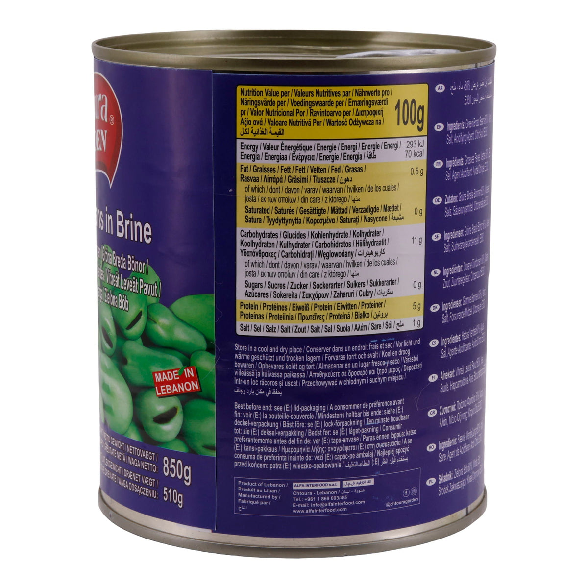 Grüne Bohnen Chtoura Garden | Green Broad Beans in Brine | In Salzlake | 850 g Dose CHTOURA GARDEN