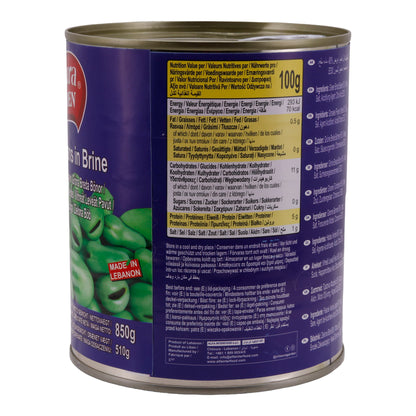Grüne Bohnen Chtoura Garden | Groene tuinbonen in pekel | In pekel | 850 g blik