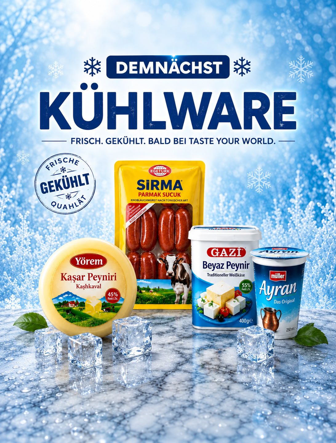 Banner-Bild