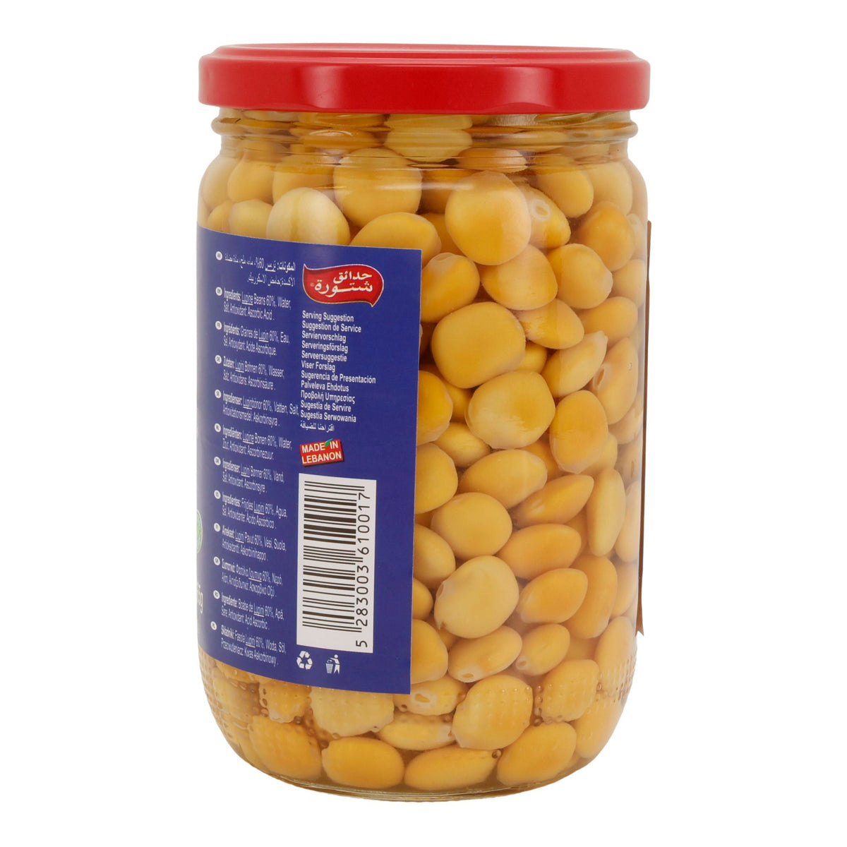 Chtaura Garden | Lupinenbohnen in Salzlake | verzehrfertig & fermentiert | 665 g (Abtropfgewicht: 410 g) CHTOURA