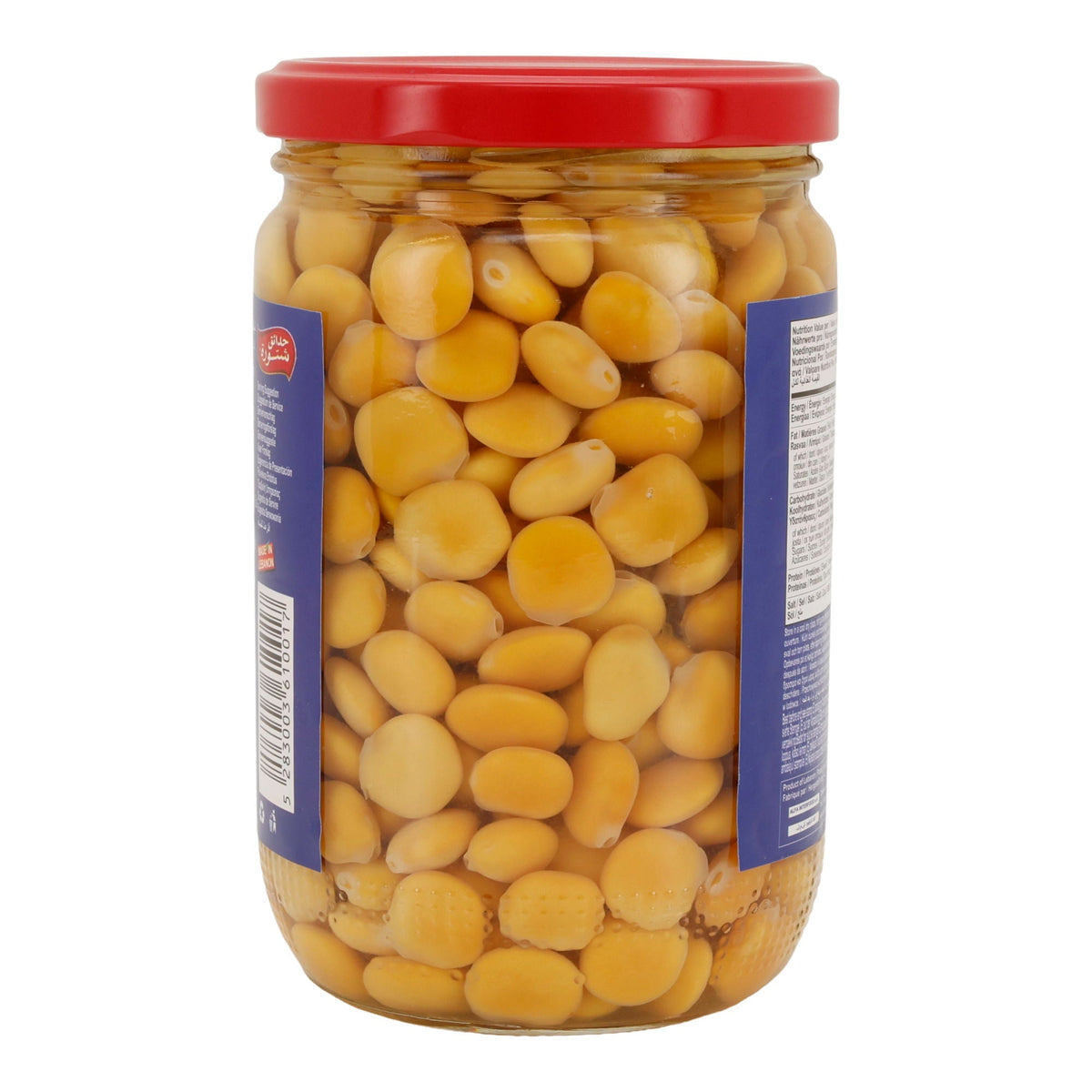 Chtaura Garden | Lupinenbohnen in Salzlake | verzehrfertig & fermentiert | 665 g (Abtropfgewicht: 410 g) CHTOURA