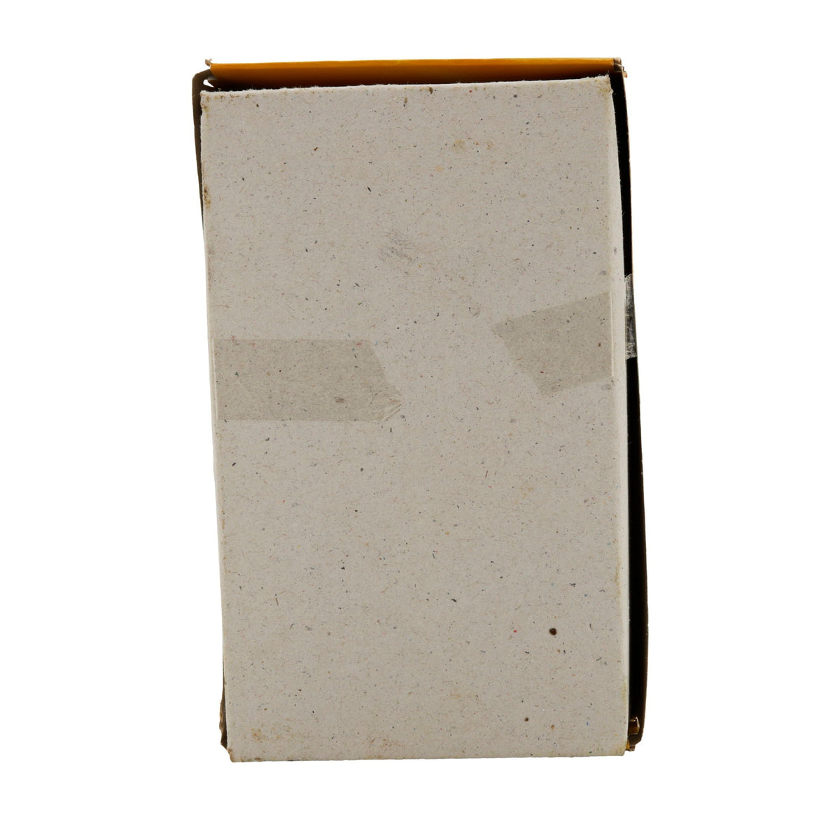 Datteln Pamir | Mazafati | Frisch | 550g PAMIR