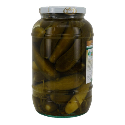 Eingelegte Gurken 1&1 | Pickled Cucumbers | Mit Knoblauch & Dill | 1480 g - Taste Your World