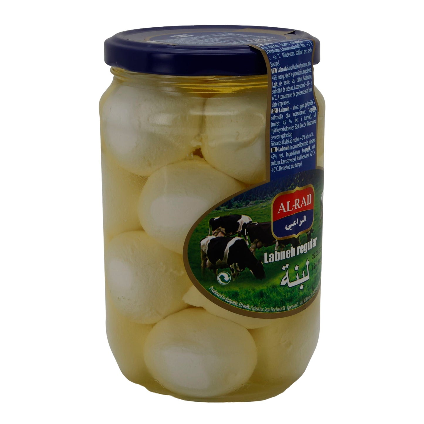 Frischkäsebällchen Al-Raii Labneh Regular | Frischkäsebällchen | Traditionelle orientalische Frischkäsebällchen | 675 g Glas AL RAII