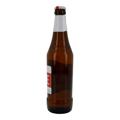 Lagerbier Tyskie Gronie | Getränk | Polnisches Bier | 500 ml Flasche - Taste Your World