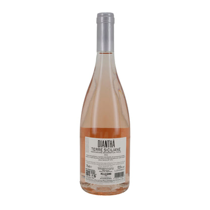 Wein Pellegrino Dianthà | Rosé | Terre Siciliane IGT Jahrgang 2024 | 750 ml
