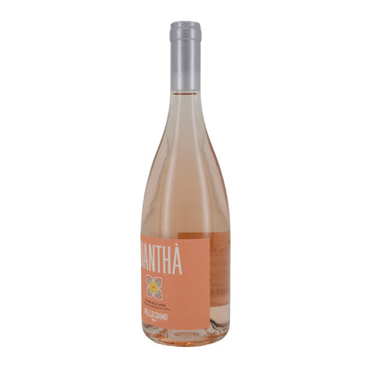 Wein Pellegrino Dianthà | Rosé | Terre Siciliane IGT Jahrgang 2024 | 750 ml