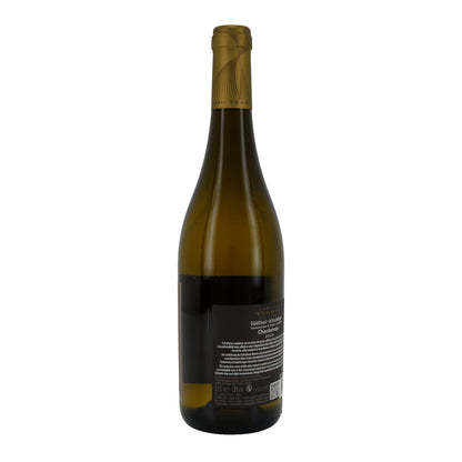 Weißwein Cantina Tramin | Chardonnay | Südtiroler Weißwein DOC Jahrgang 2024 | 750 ml