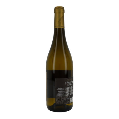 Weißwein Cantina Tramin | Sauvignon | Südtiroler Weißwein DOC Jahrgang 2024 | 750 ml